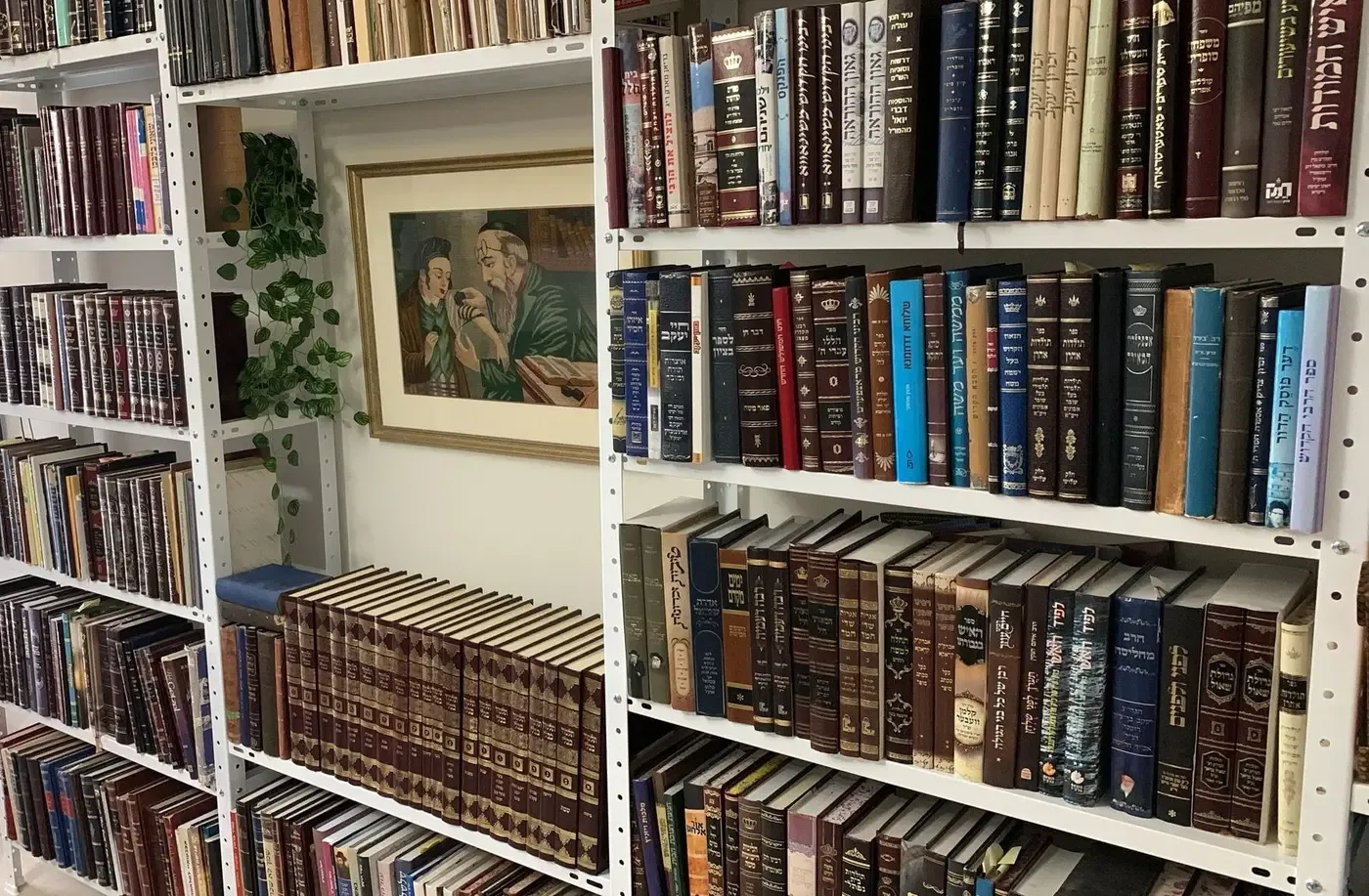 מדפים לספרים בבית